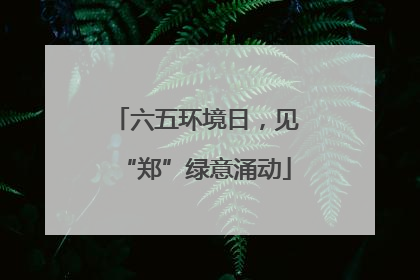 六五环境日，见“郑”绿意涌动