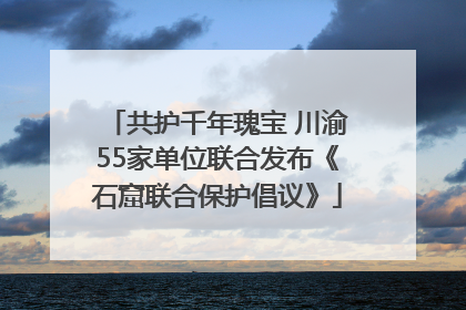 共护千年瑰宝 川渝55家单位联合发布《石窟联合保护倡议》