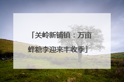关岭新铺镇：万亩蜂糖李迎来丰收季
