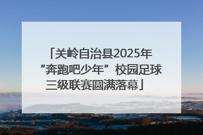 关岭自治县2025年“奔跑吧少年”校园足球三级联赛圆满落幕