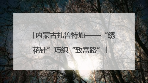内蒙古扎鲁特旗——“绣花针”巧织“致富路”