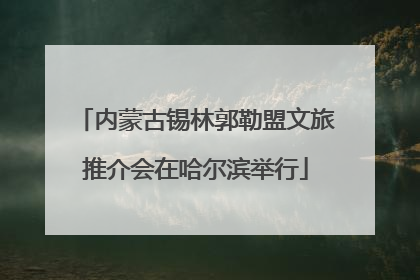 内蒙古锡林郭勒盟文旅推介会在哈尔滨举行
