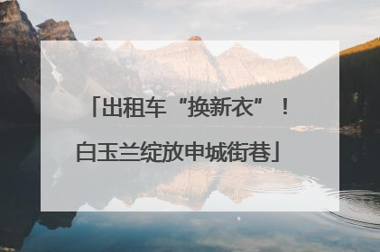 出租车“换新衣”！白玉兰绽放申城街巷