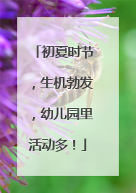 初夏时节，生机勃发，幼儿园里活动多！
