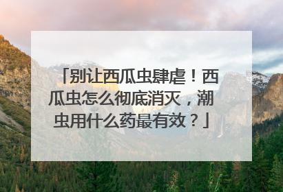 别让西瓜虫肆虐！西瓜虫怎么彻底消灭，潮虫用什么药最有效？