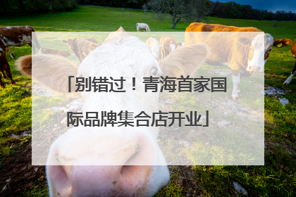 别错过！青海首家国际品牌集合店开业