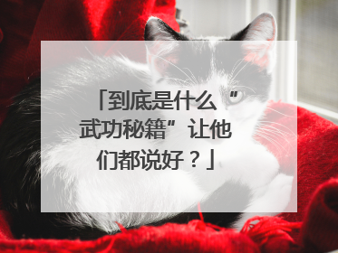 到底是什么“武功秘籍”让他们都说好？