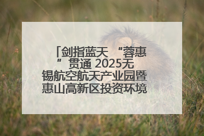 剑指蓝天 “蓉惠”贯通 2025无锡航空航天产业园暨惠山高新区投资环境推介会在成都举行