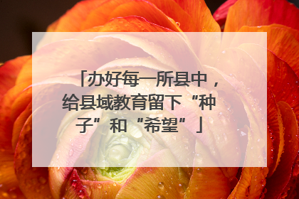 办好每一所县中，给县域教育留下“种子”和“希望”