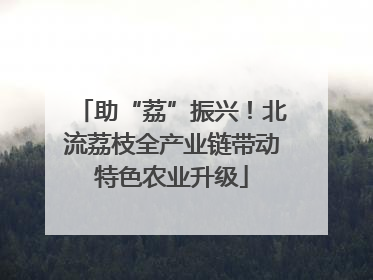助“荔”振兴！北流荔枝全产业链带动特色农业升级