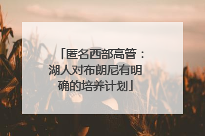 匿名西部高管：湖人对布朗尼有明确的培养计划
