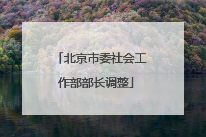 北京市委社会工作部部长调整