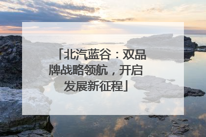 北汽蓝谷：双品牌战略领航，开启发展新征程