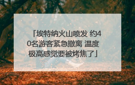 埃特纳火山喷发 约40名游客紧急撤离 温度极高感觉要被烤焦了
