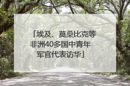 埃及、莫桑比克等非洲40多国中青年军官代表访华