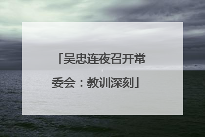 吴忠连夜召开常委会：教训深刻