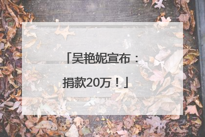 吴艳妮宣布：捐款20万！