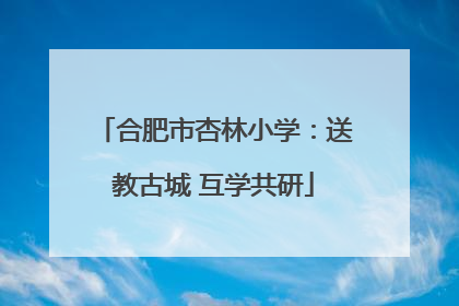 合肥市杏林小学：送教古城 互学共研