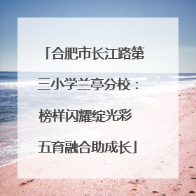 合肥市长江路第三小学兰亭分校：榜样闪耀绽光彩 五育融合助成长