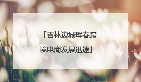 吉林边城珲春跨境电商发展迅速