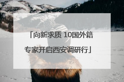 向新求质 10国外籍专家开启西安调研行