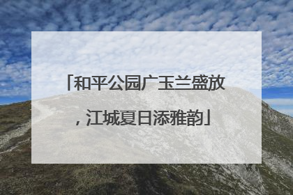 和平公园广玉兰盛放，江城夏日添雅韵