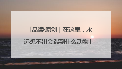 品读·原创｜在这里，永远想不出会遇到什么动物