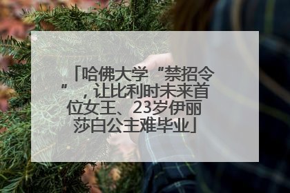 哈佛大学“禁招令”，让比利时未来首位女王、23岁伊丽莎白公主难毕业