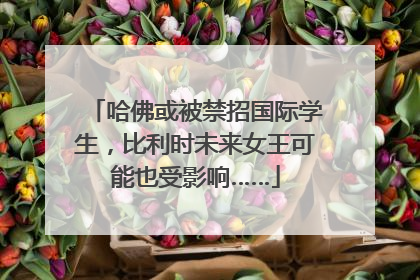 哈佛或被禁招国际学生，比利时未来女王可能也受影响……