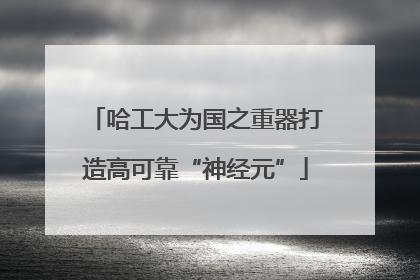 哈工大为国之重器打造高可靠“神经元”