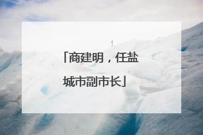 商建明，任盐城市副市长