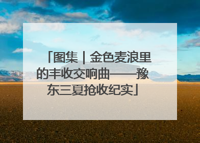 图集｜金色麦浪里的丰收交响曲——豫东三夏抢收纪实