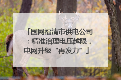 国网福清市供电公司：精准治理电压越限，电网升级“再发力”