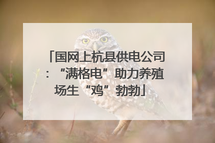 国网上杭县供电公司：“满格电”助力养殖场生“鸡”勃勃