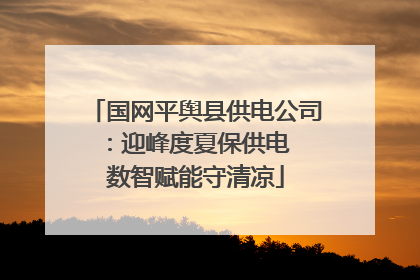 国网平舆县供电公司：迎峰度夏保供电  数智赋能守清凉