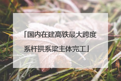国内在建高铁最大跨度系杆拱系梁主体完工