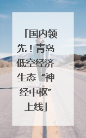 国内领先！青岛低空经济生态“神经中枢”上线