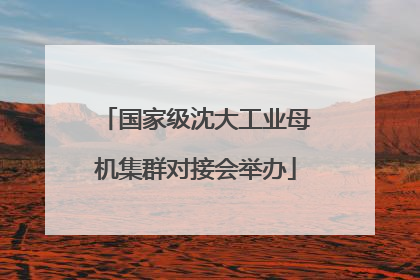 国家级沈大工业母机集群对接会举办