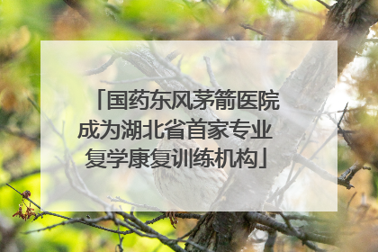 国药东风茅箭医院成为湖北省首家专业复学康复训练机构