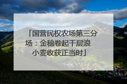 国营民权农场第三分场：金穗卷起千层浪 小麦收获正当时