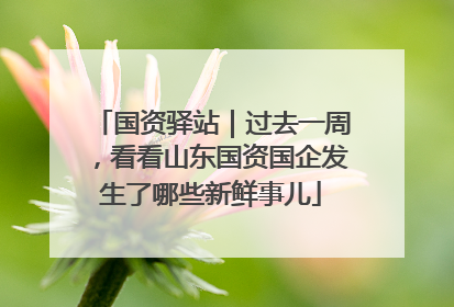 国资驿站｜过去一周，看看山东国资国企发生了哪些新鲜事儿