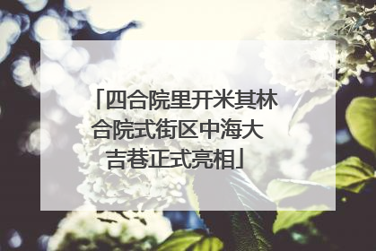 四合院里开米其林 合院式街区中海大吉巷正式亮相