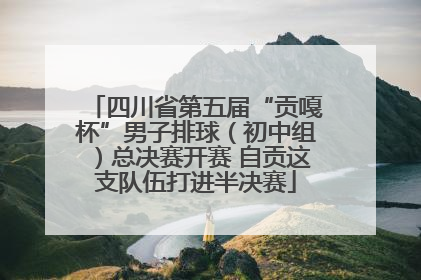 四川省第五届“贡嘎杯”男子排球（初中组）总决赛开赛 自贡这支队伍打进半决赛
