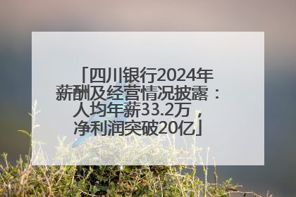 四川银行2024年薪酬及经营情况披露：人均年薪33.2万，净利润突破20亿