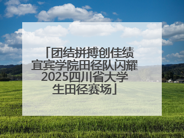 团结拼搏创佳绩 宜宾学院田径队闪耀2025四川省大学生田径赛场