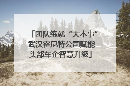 团队练就“大本事” 武汉霍尼特公司赋能头部车企智慧升级