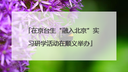 在京台生“融入北京”实习研学活动在顺义举办
