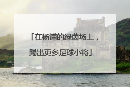在杨浦的绿茵场上，踢出更多足球小将
