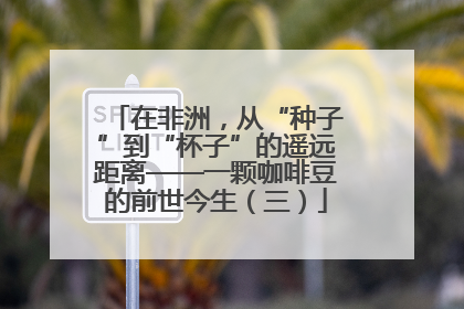 在非洲，从“种子”到“杯子”的遥远距离——一颗咖啡豆的前世今生（三）