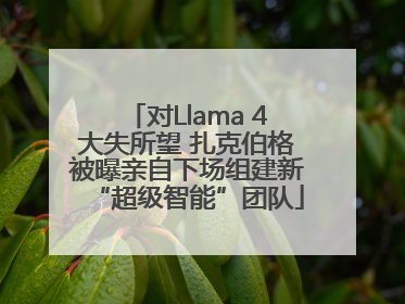 对Llama 4大失所望 扎克伯格被曝亲自下场组建新“超级智能”团队